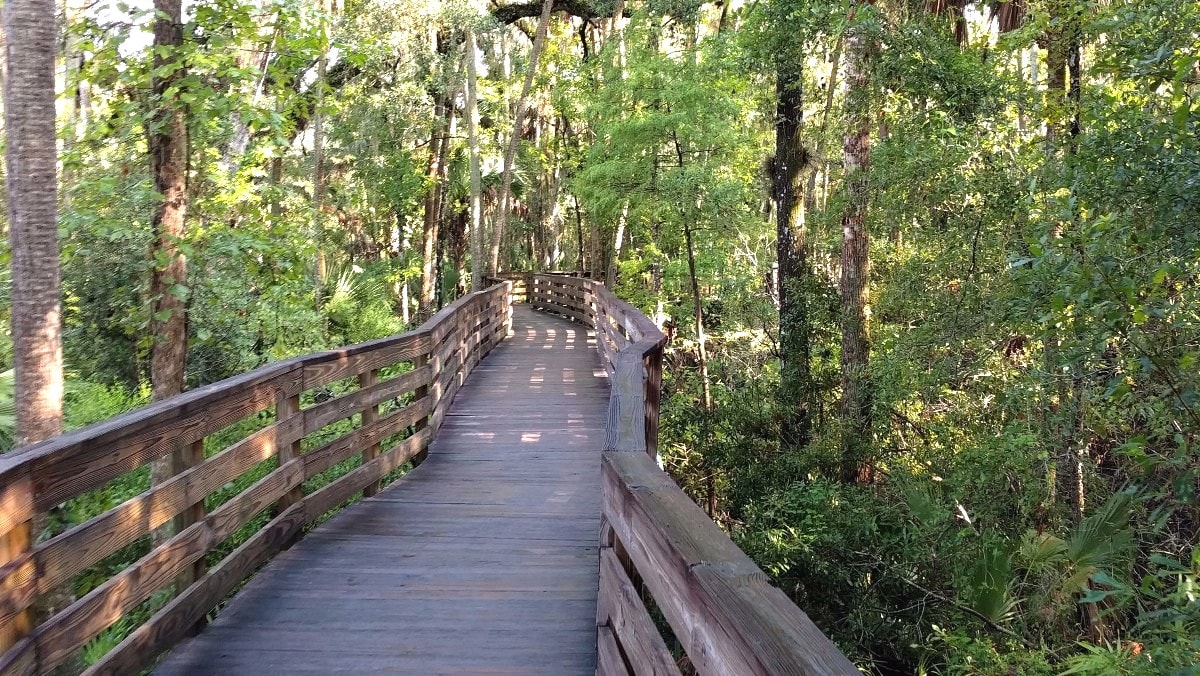 Blue Springs State Park