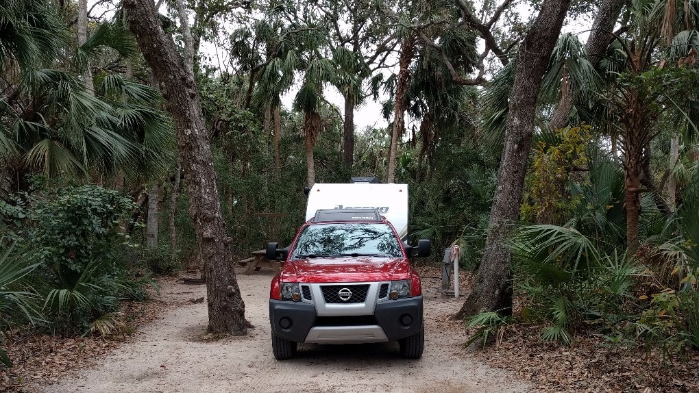 In between trees at Tomoka State Park