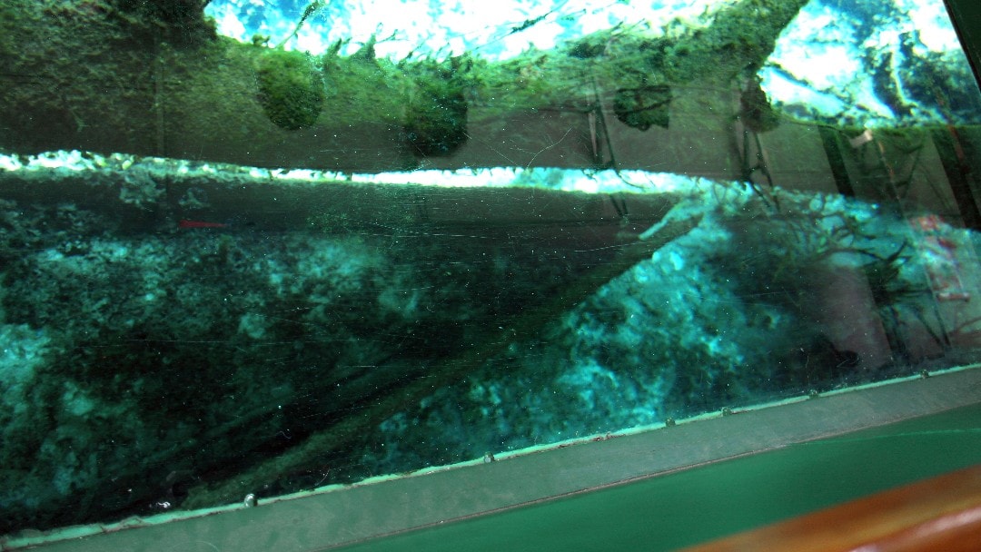 Glass bottom boat