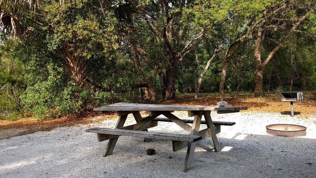 Silver Springs State Park Camping review